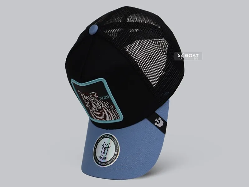 خانه 2 cap